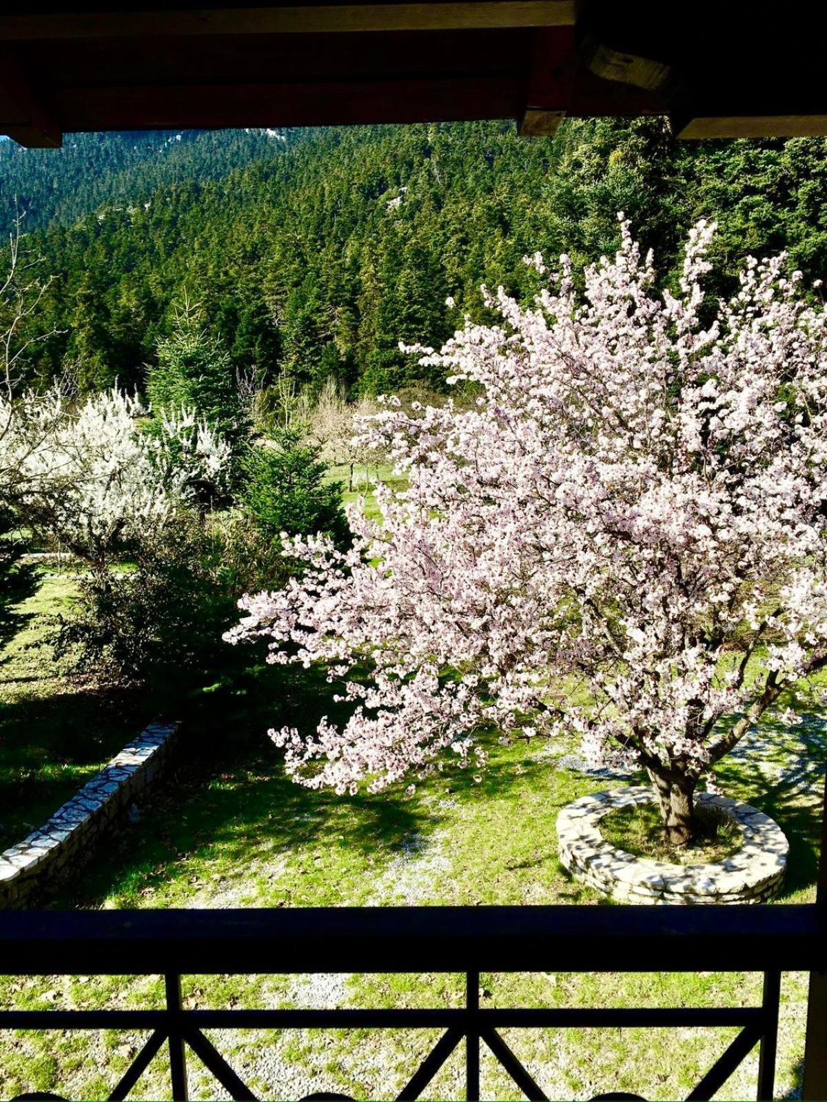 Alpine Escape Maisonette By Ski Alure อาราโชวา ภายนอก รูปภาพ